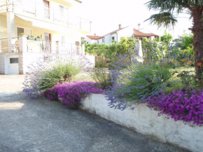 Отель Guest House Jasmin  Ровинь